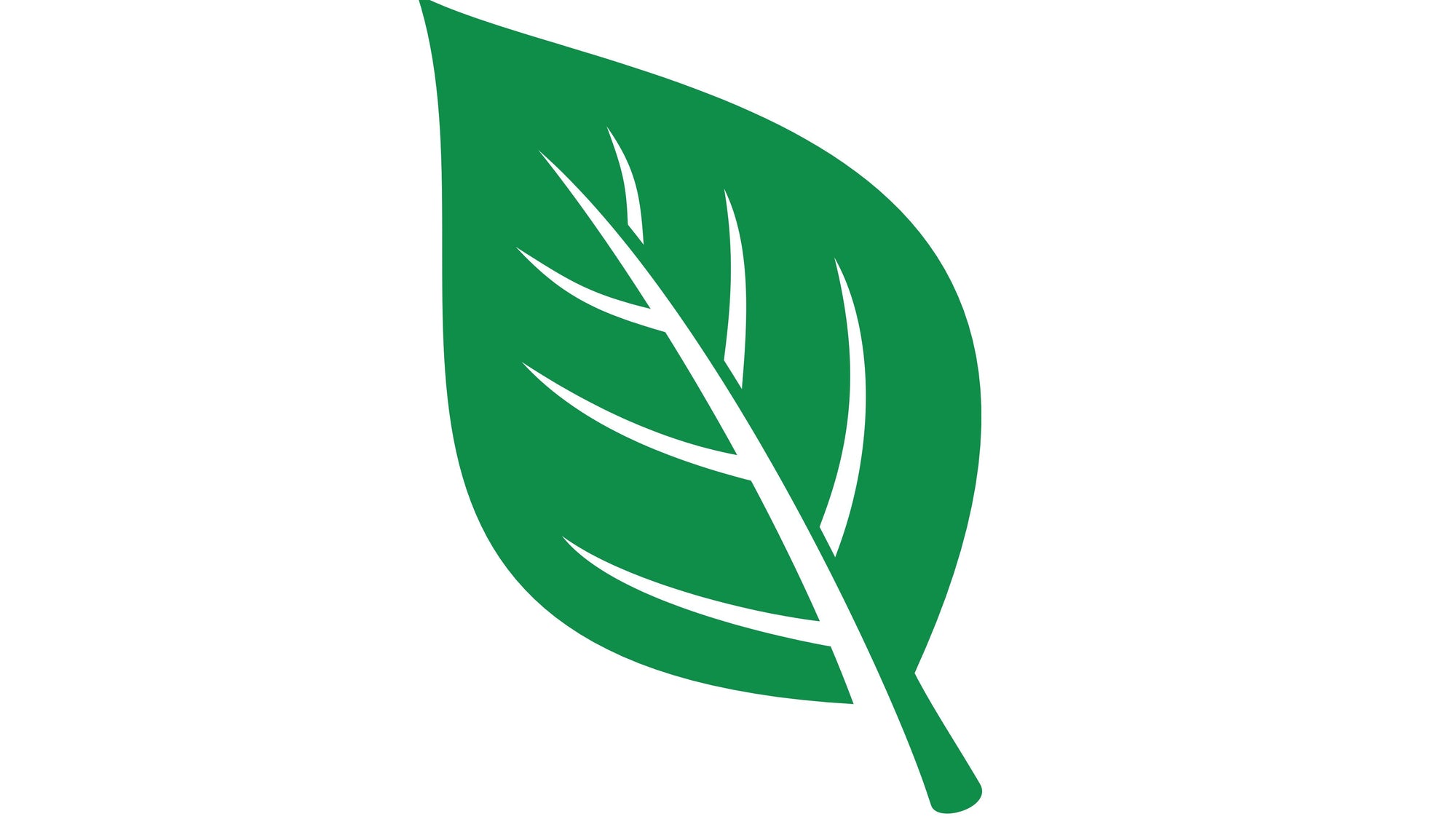 Green leaf icon on a white background