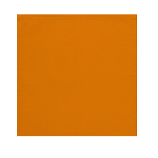 Burnt Orange Cotton Napkin