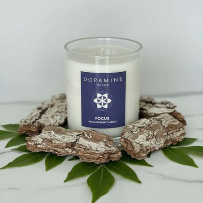 'Focus' Luxury Scented Candle