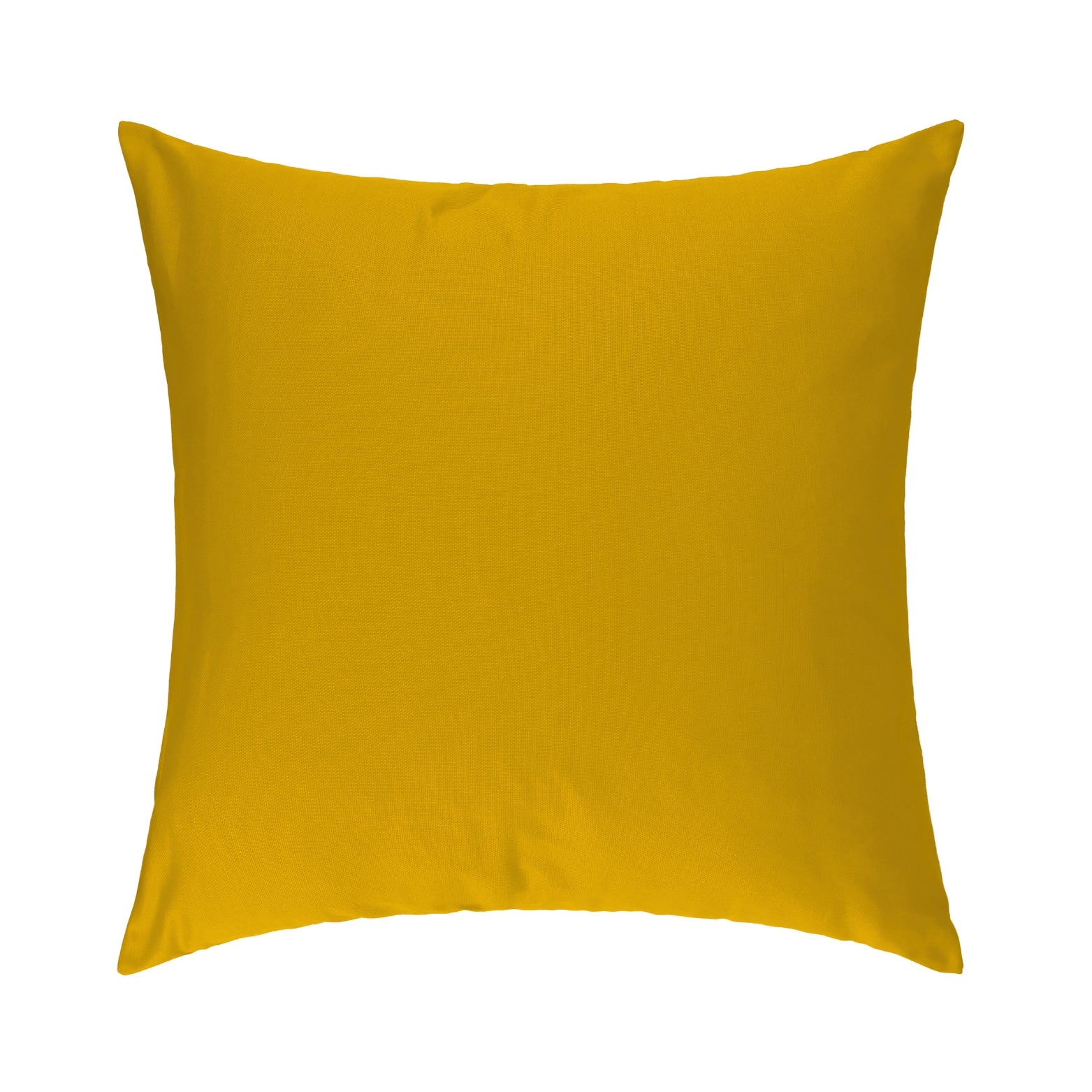 Gold Cushion