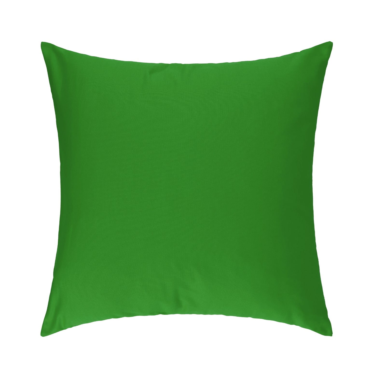 Leaf Green Cushion