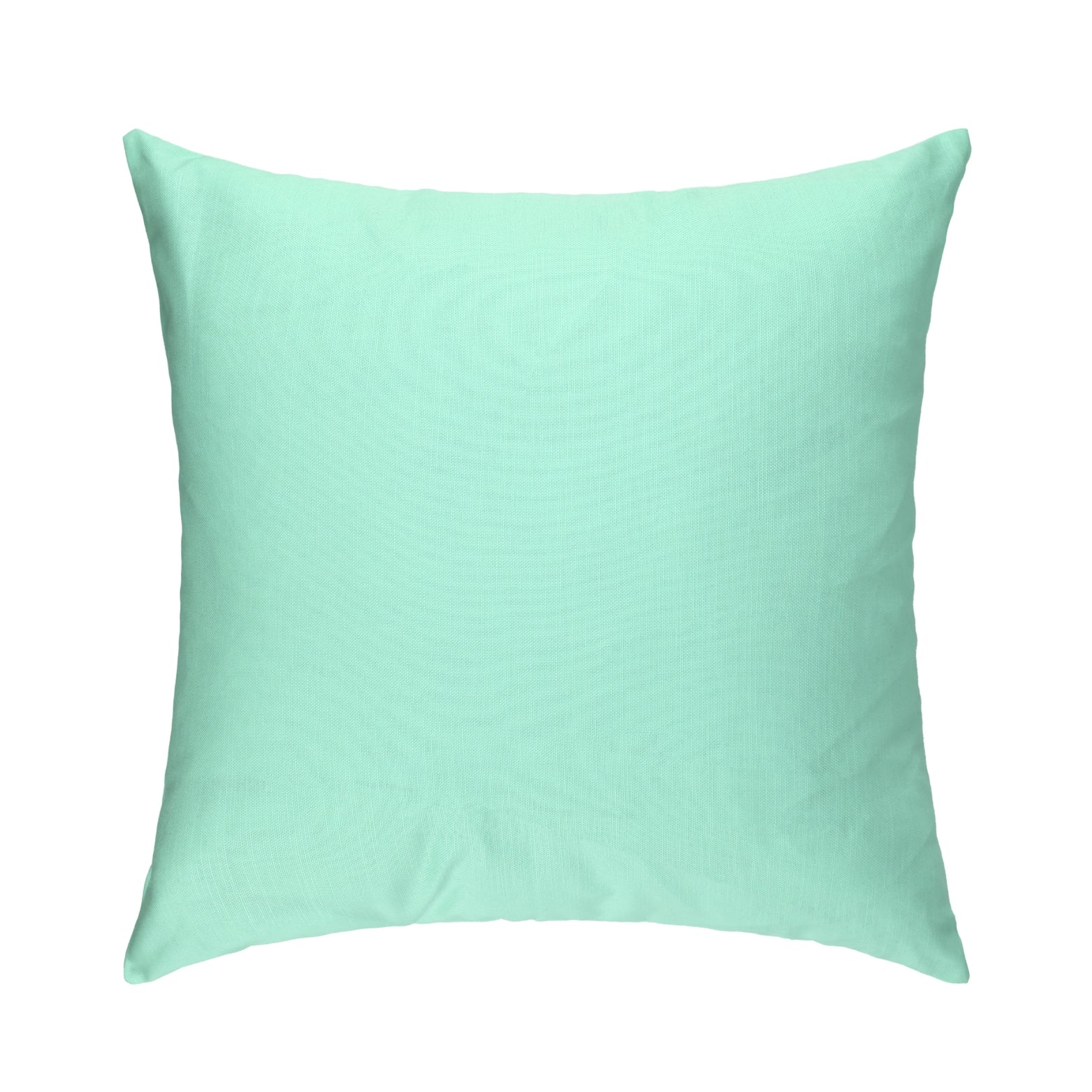 Mint Cushion