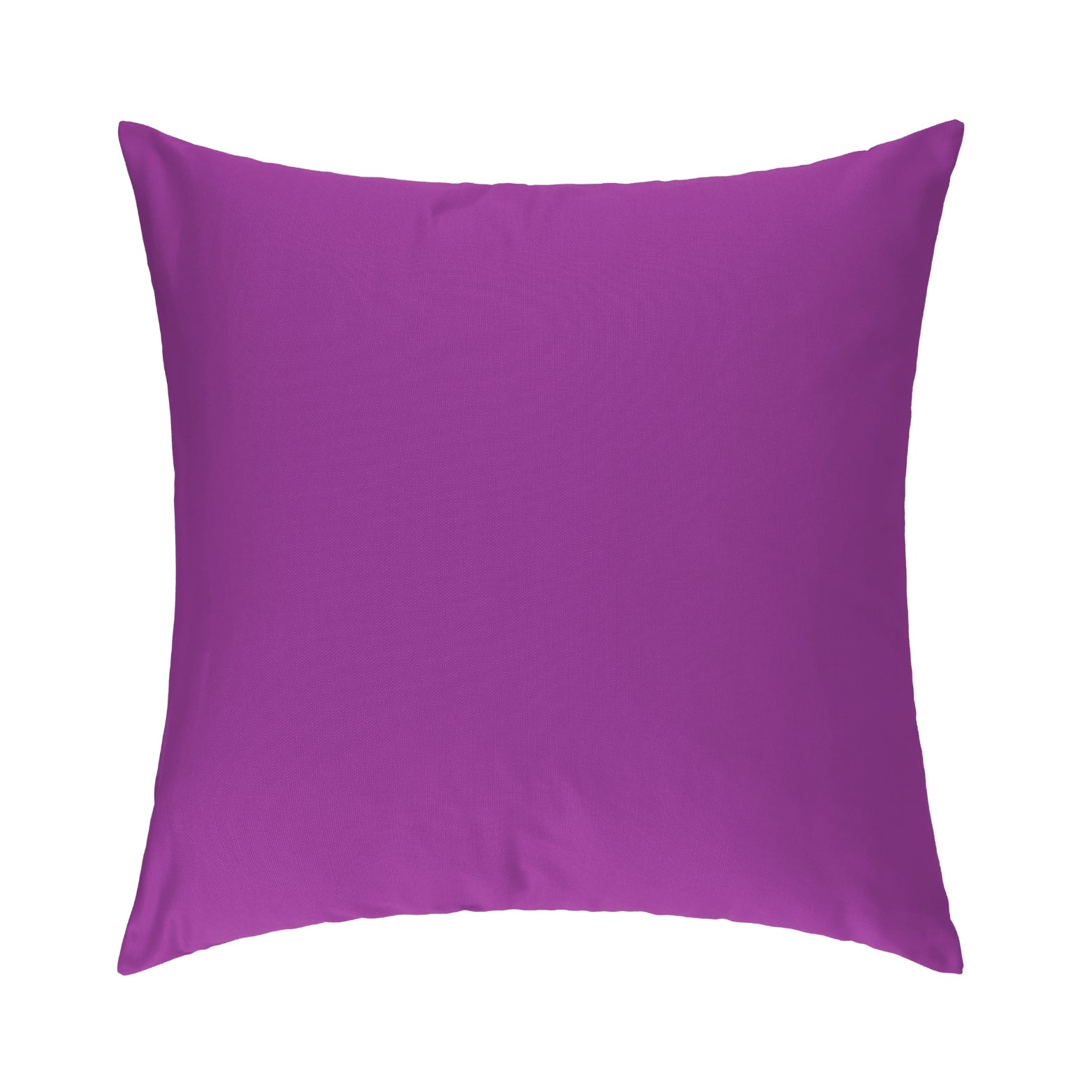 Plum Cushion