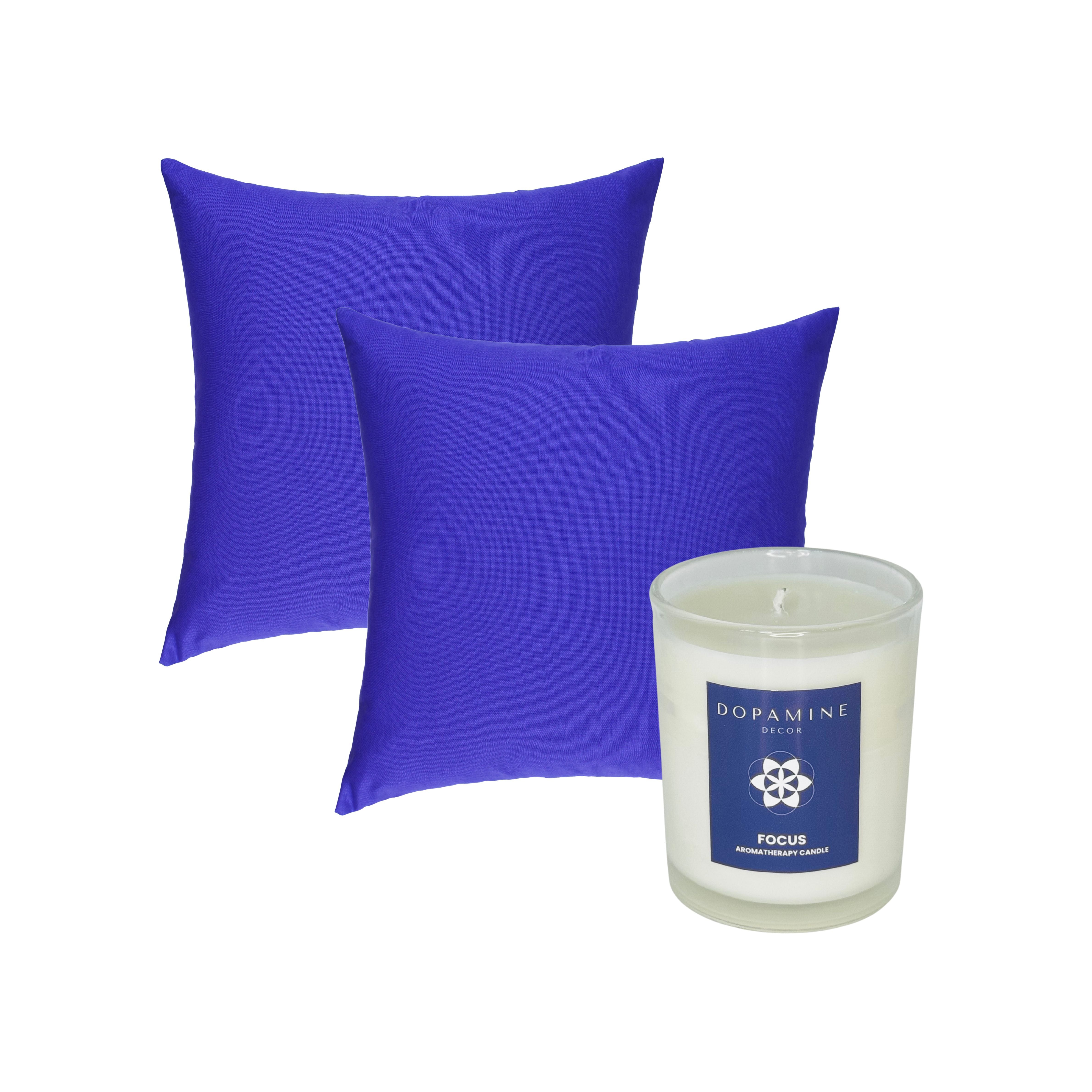 Focus Wellness Bundle