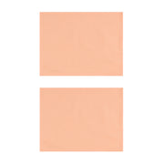 Salmon Cotton Placemats, Set of 2