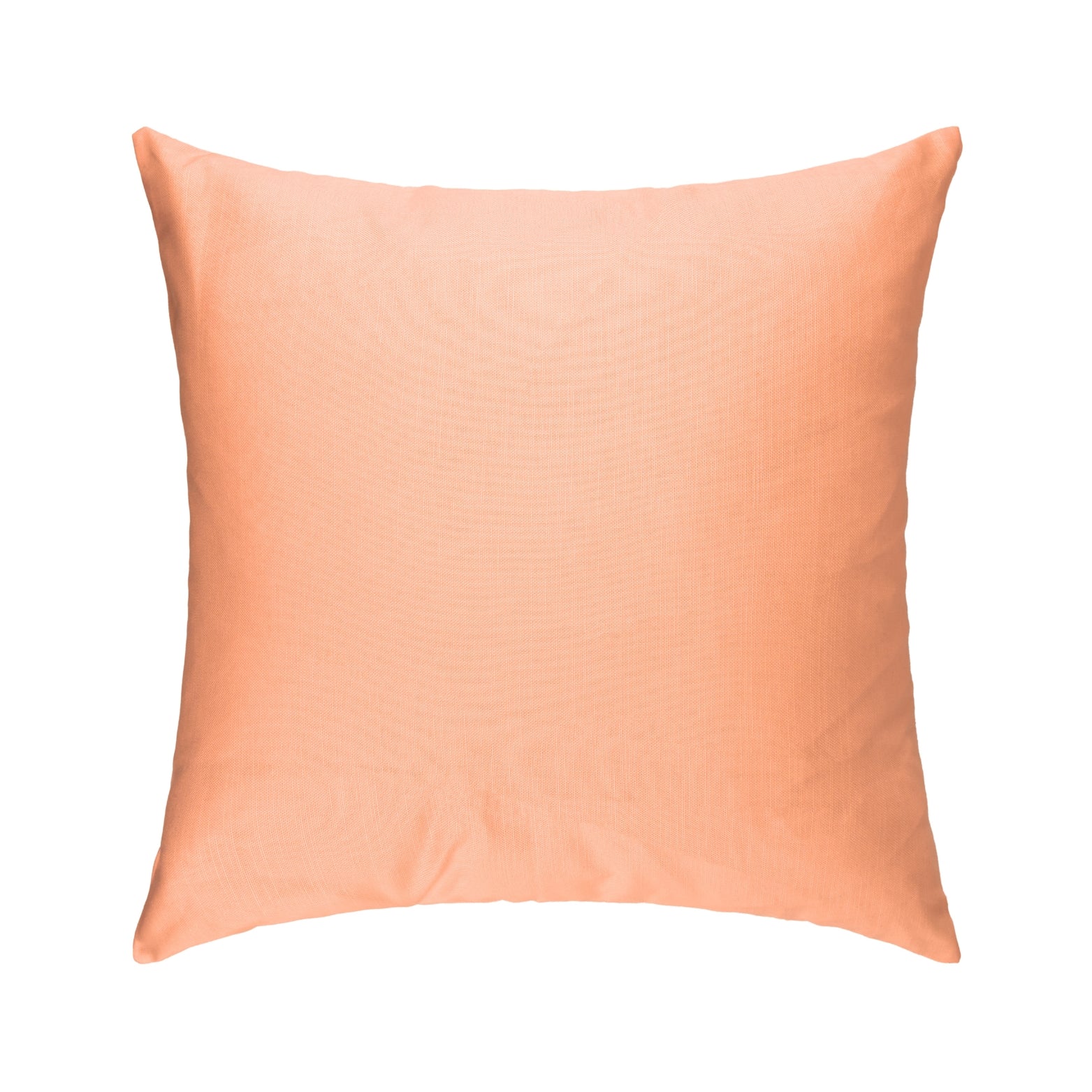 Salmon Cushion