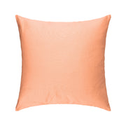 Salmon Cushion