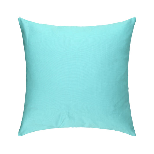 Turquoise Cushion