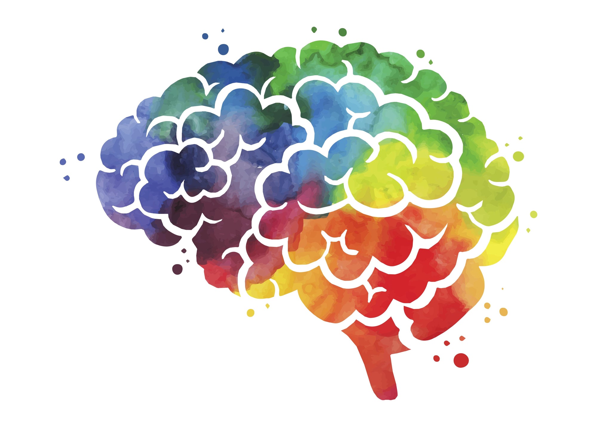 Colourful brain illustration on a white background